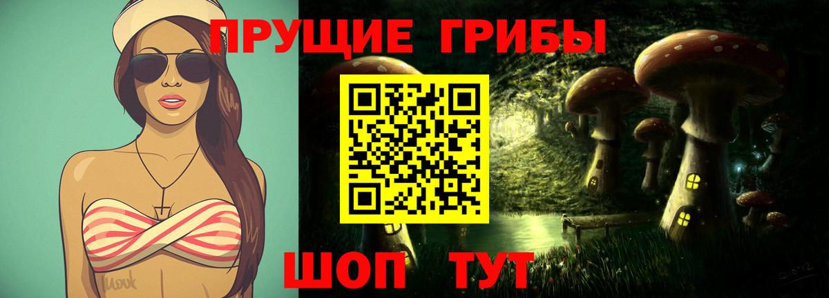 Псилоцибиновые грибы Psilocybe  купить наркотики сайты  Тамбов  Вход с VPN  Псилоцибиновые грибы GOLDEN TEACHER 