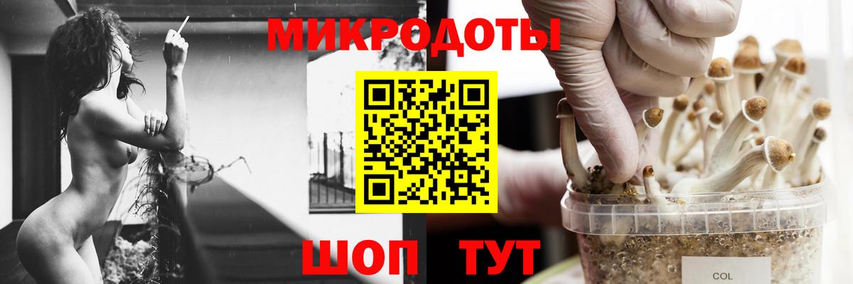 Галлюциногенные грибы мухоморы Тамбов